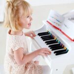 פסנתר דלוקס HAPE – תמונה 2